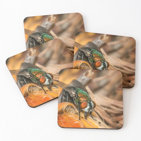 Item preview, The Fly designed and sold by Geoff Wols.