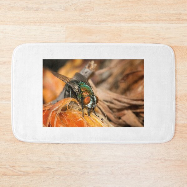 Item preview, The Fly designed and sold by Geoff Wols.