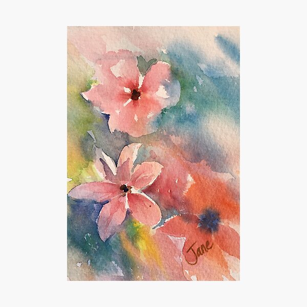 Baby Pinks Photographic Print