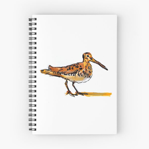 Item preview, A Common Snipe designed and sold by Lucy Fryer.