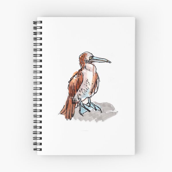 Item preview, A Blue Footed Booby designed and sold by Lucy Fryer.