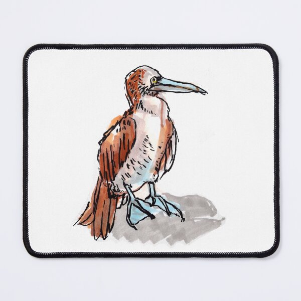 Item preview, A Blue Footed Booby designed and sold by Lucy Fryer.