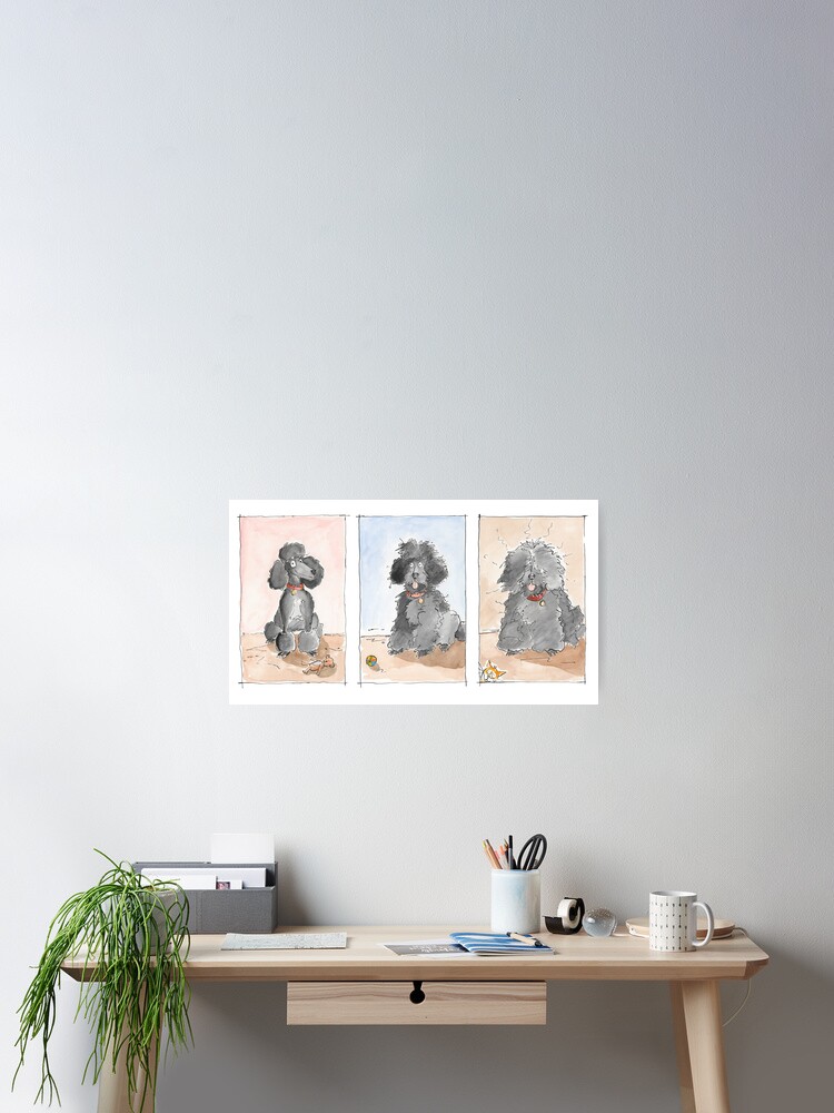 Three stages of a poodle design by Max Ray Art