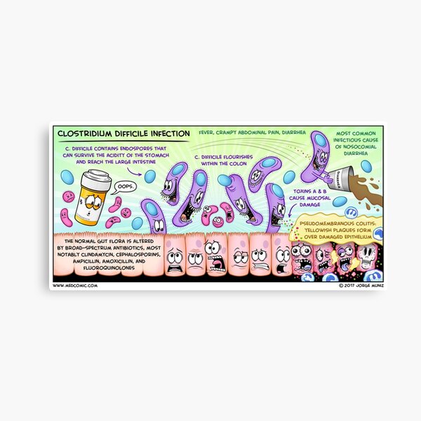Clostridium difficile Infection Canvas Print