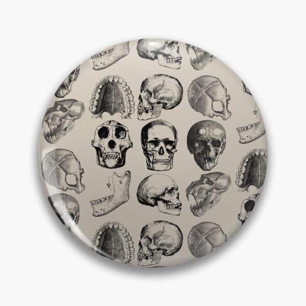 Item preview, Forensic Anthropology Skull Anatomy Sticker designed and sold by SceneOfTheCrime.