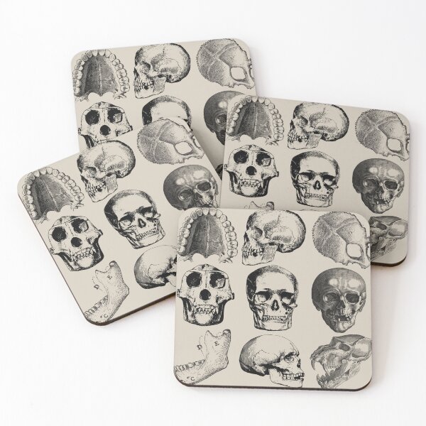 Item preview, Forensic Anthropology Skull Anatomy Sticker designed and sold by SceneOfTheCrime.