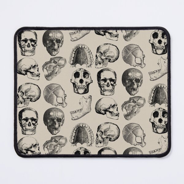Item preview, Forensic Anthropology Skull Anatomy Sticker designed and sold by SceneOfTheCrime.