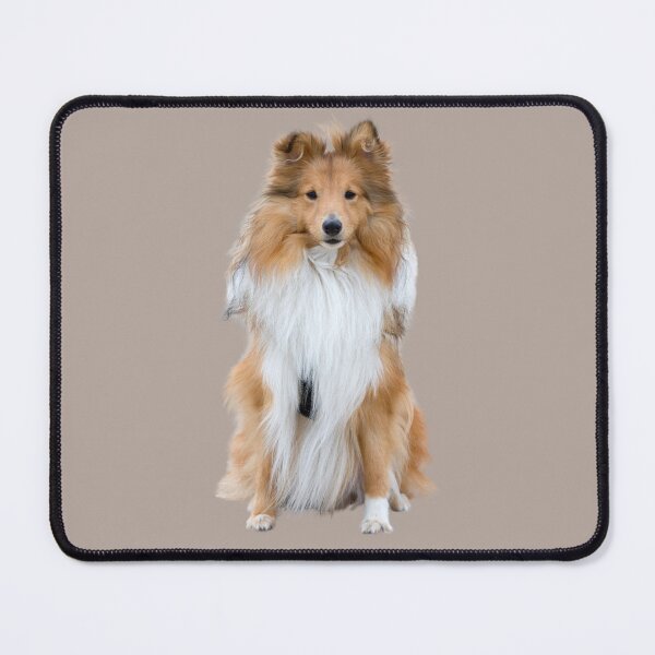 Item preview, Shetland Sheepdog designed and sold by RainbowSpinkle.