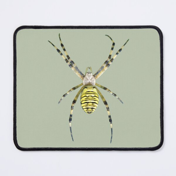 Item preview, Tiger Spider designed and sold by RainbowSpinkle.