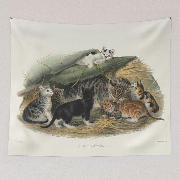 Item preview, Felis domestica. Vintage Illustration of cat and her kittens by Joseph Smit, 1833. designed and sold by Gin  Neko.