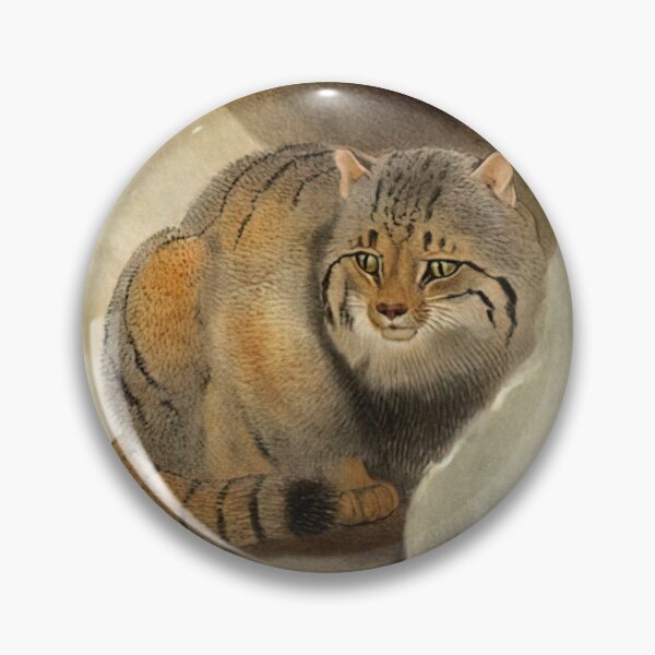 Item preview, Pallas's Thibetan Cat (Felis Manul) 1883 Daniel Giraud Elliot  designed and sold by Gin  Neko.