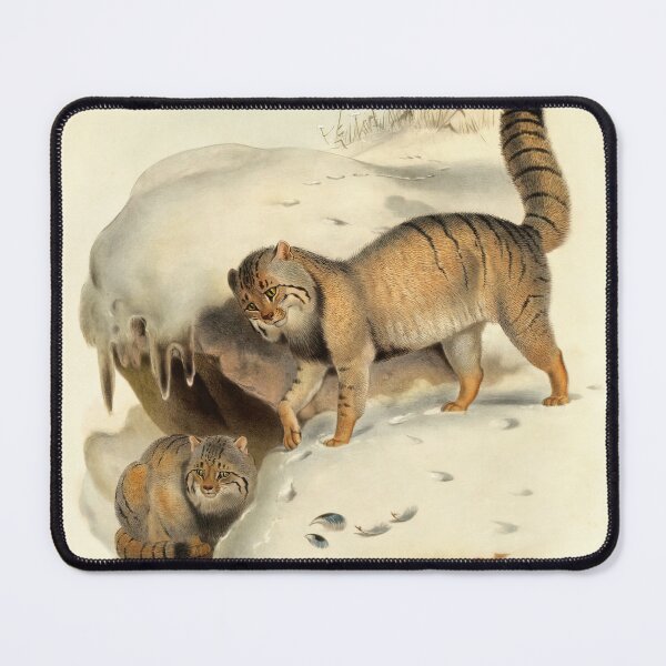Item preview, Pallas's Thibetan Cat (Felis Manul) 1883 Daniel Giraud Elliot  designed and sold by Gin  Neko.