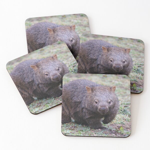 Item preview, Wombat - Vombatus Ursinus designed and sold by Liz Worth.
