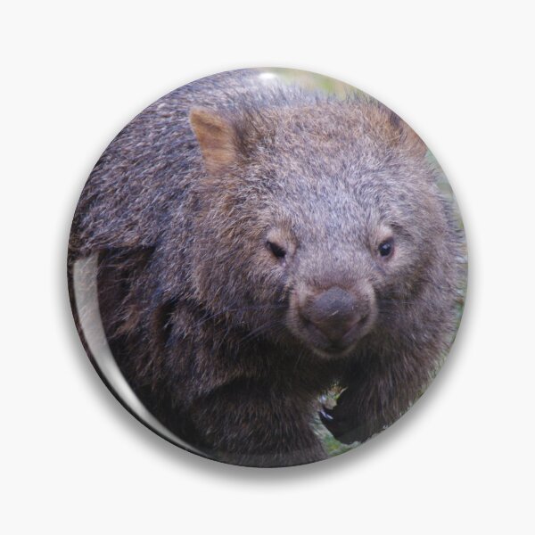 Item preview, Wombat - Vombatus Ursinus designed and sold by Liz Worth.