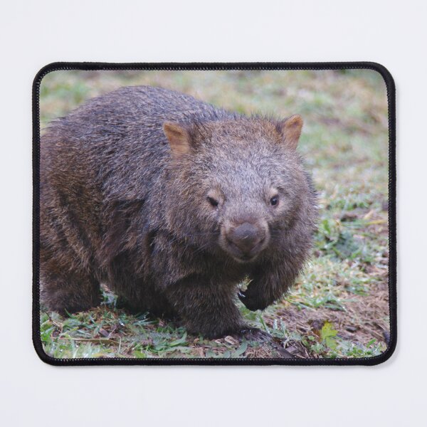 Item preview, Wombat - Vombatus Ursinus designed and sold by Liz Worth.