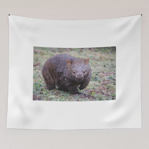 Item preview, Wombat - Vombatus Ursinus designed and sold by Liz Worth.