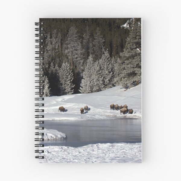 Item preview, Winter on the Madison River in Yellowstone NP (panoramic) designed and sold by Gilby-Designs.