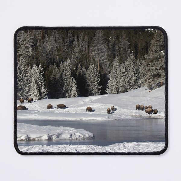 Item preview, Winter on the Madison River in Yellowstone NP (panoramic) designed and sold by Gilby-Designs.