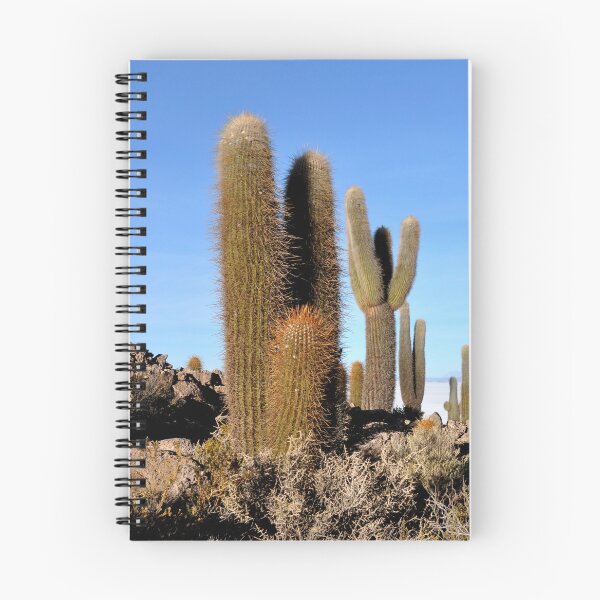 Item preview, Bolivia - Salar de Uyuni designed and sold by franck380.