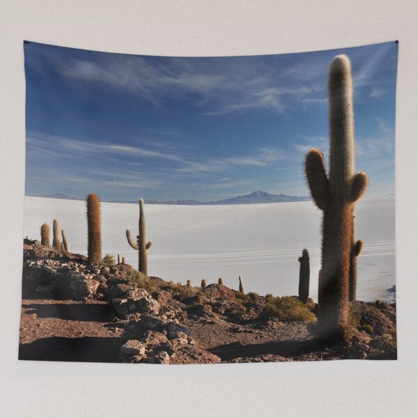 Item preview, Bolivia - Salar de Uyuni designed and sold by franck380.