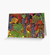 Beautiful Harvest Vineyard Greeting Card