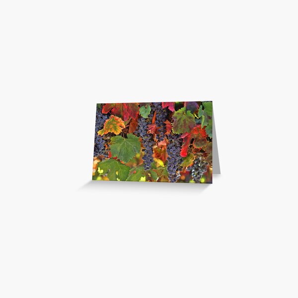 Item preview, Beautiful Harvest Vineyard designed and sold by Stephanie Laird.