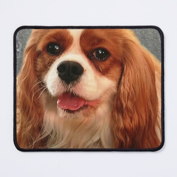 Item preview, friendly face designed and sold by Foxlindesigns.