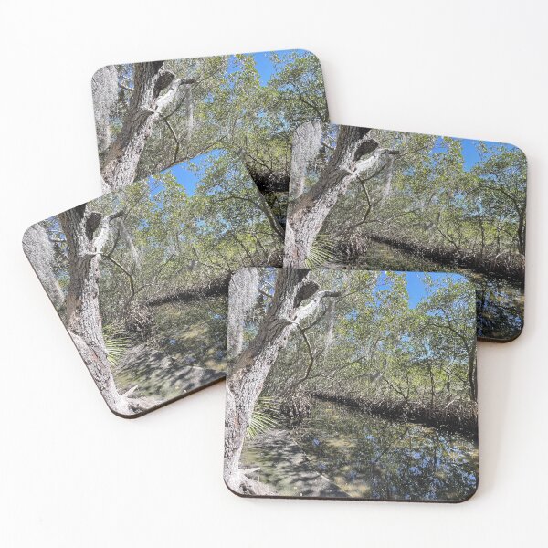 Item preview, Mangroves and Stream designed and sold by Sparkleweather.