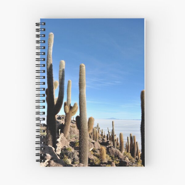 Item preview, Bolivia - Salar de Uyuni designed and sold by franck380.