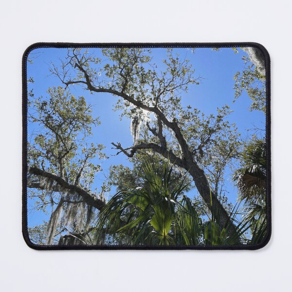 Item preview, Backlit Trees designed and sold by Sparkleweather.