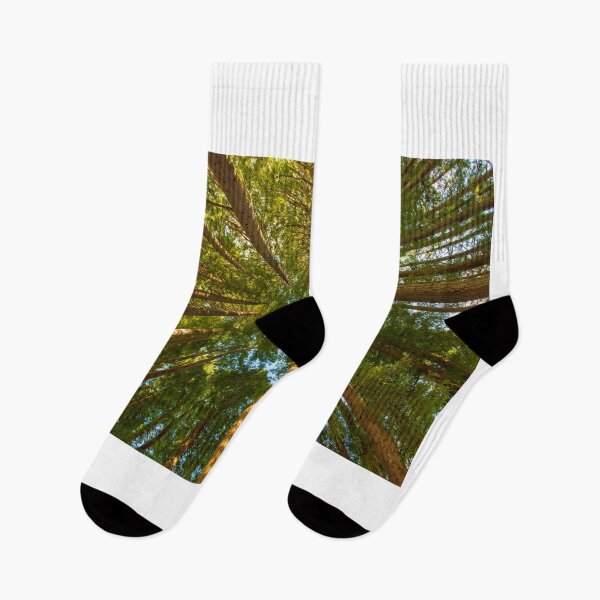 Item preview, Hamurana Forest designed and sold by TravellingFatmn.
