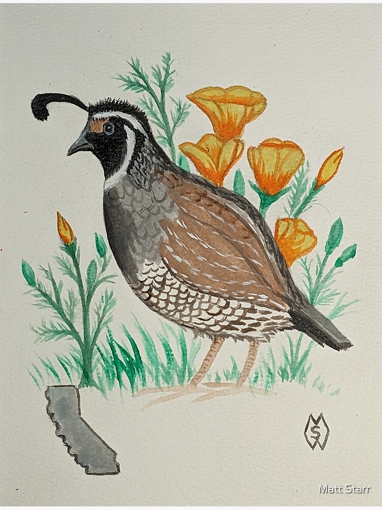 California Poppy Quail Tunic California Poppy Quail Tunic