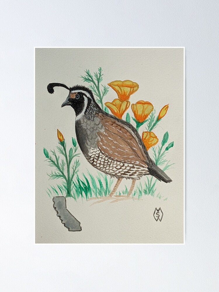 California Poppy Quail Raglan Zipper Hoodie