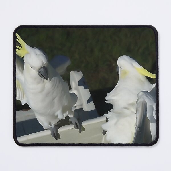Item preview, Avian Crash Course designed and sold by Annalucia.