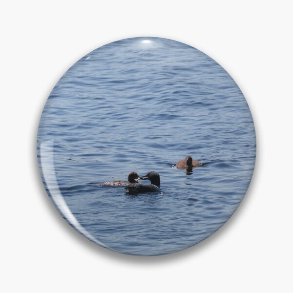 Item preview, Loon feeding baby designed and sold by dmlb photography.