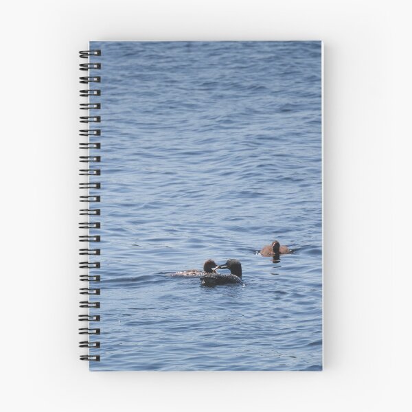 Item preview, Loon feeding baby designed and sold by dmlb photography.