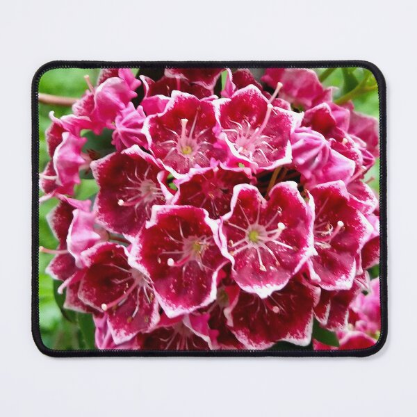 Item preview, Mountain Laurel designed and sold by bjtomiko.