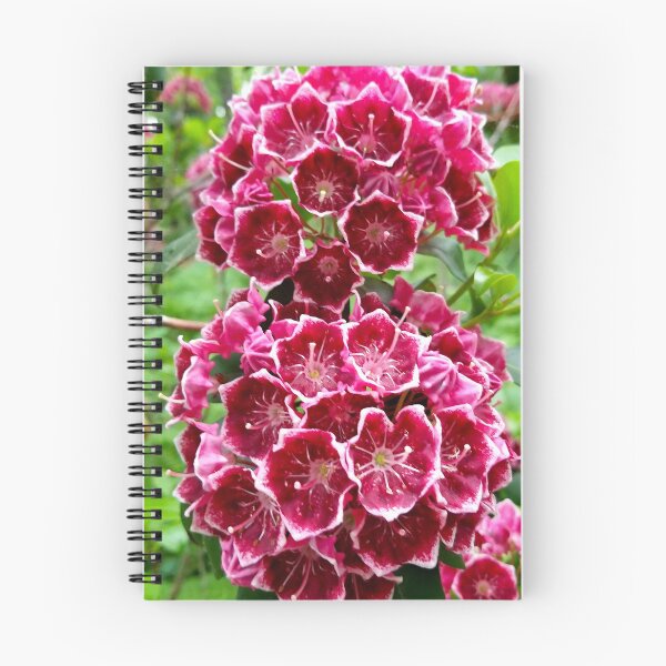 Item preview, Mountain Laurel designed and sold by bjtomiko.