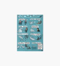 Dolphins and Marine Biologists Art Board
