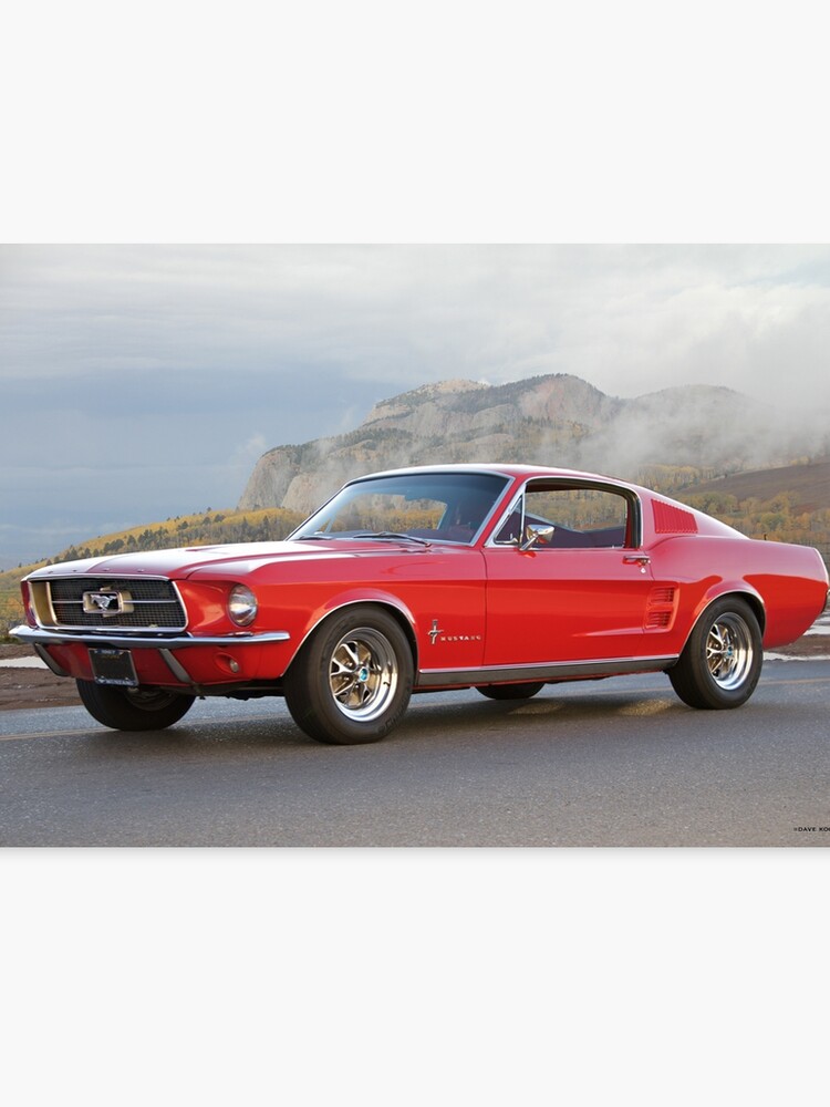 1967 Mustang Fastback >> 1967 Mustang Fastback I Canvas Print 1967 Mustang Fastback >> 1967 Mustang Fastback I Canvas Print