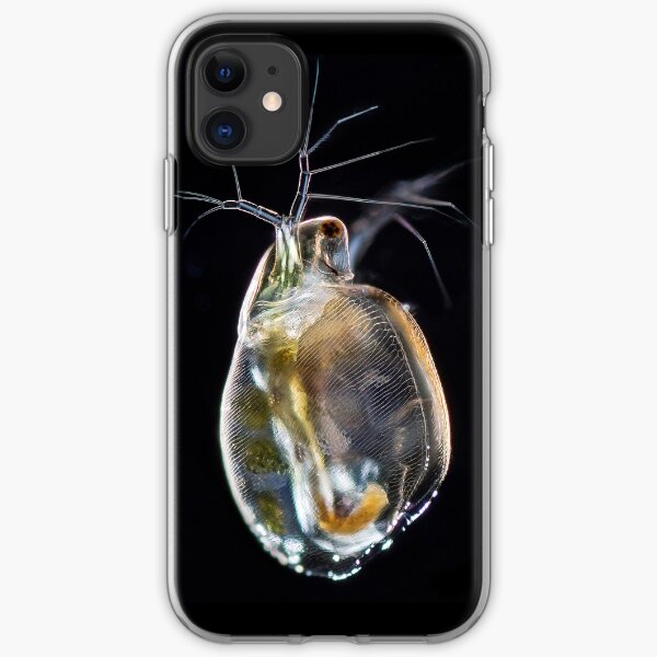 Microscopic water flea iPhone Soft Case