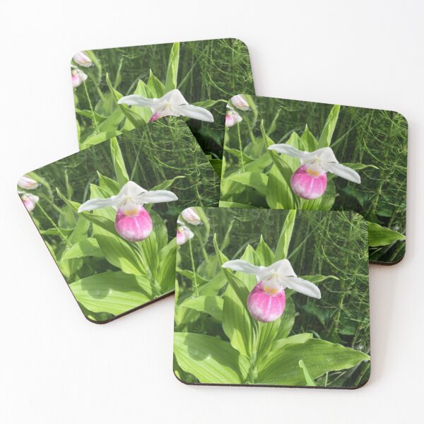 Item preview, Lady Slipper designed and sold by emikat-art.