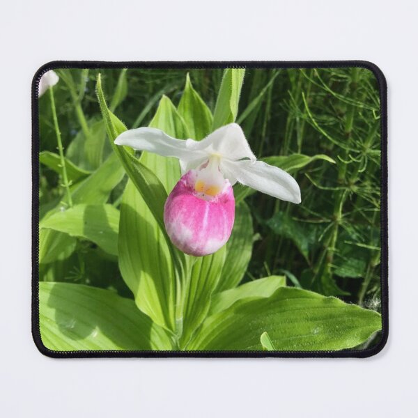 Item preview, Lady Slipper designed and sold by emikat-art.