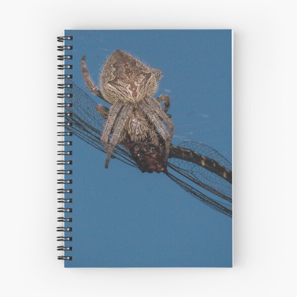 Item preview, Captured designed and sold by Geoff Wols.