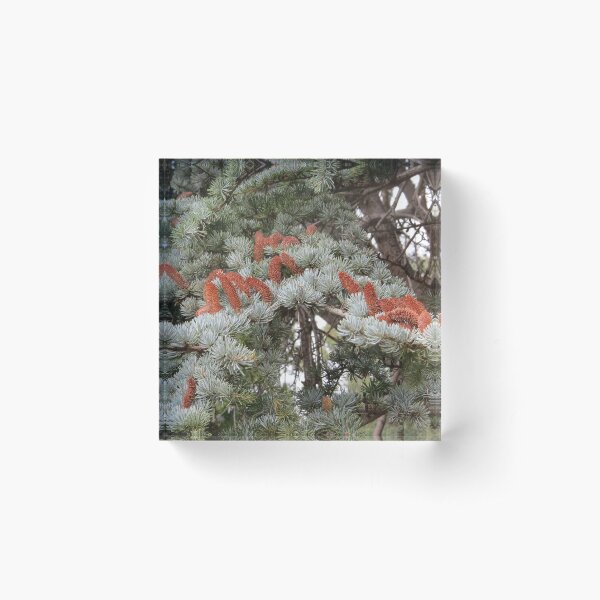 Item preview, Tree Foliage designed and sold by Honey Myrtle Studio.
