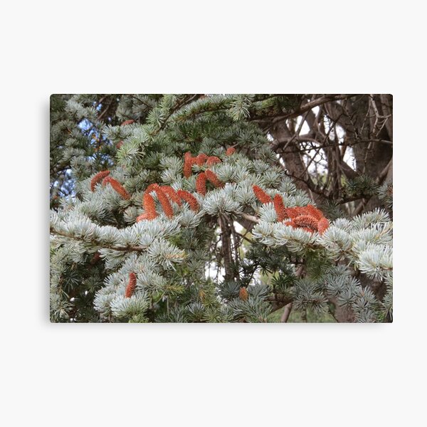 Item preview, Tree Foliage designed and sold by Honey Myrtle Studio.