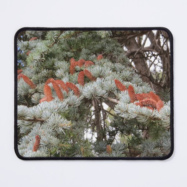 Item preview, Tree Foliage designed and sold by Honey Myrtle Studio.