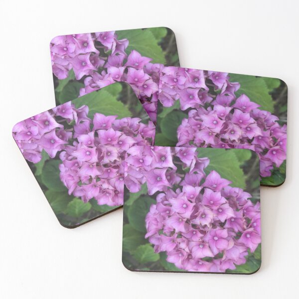 Item preview, Failed designed and sold by SnappedbyRivka.