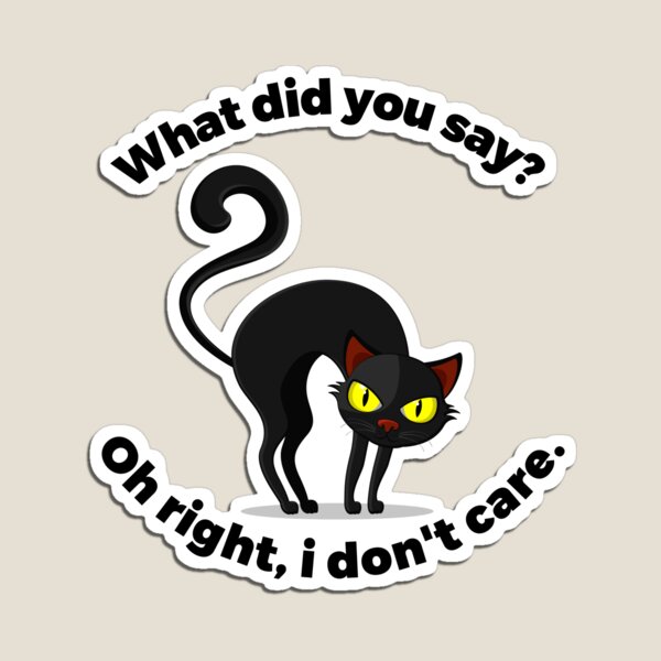 Cats with hard hats, DON'T TALK TO ME IM ANGRY CAT MEMES CAT LOVER T-Shirt  Poster for Sale by Farzana Naveed