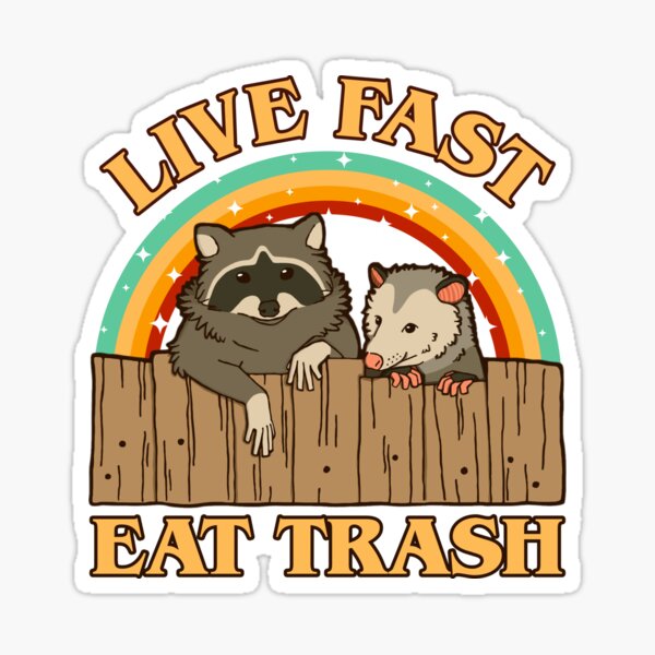 Live fast, eat trash raccoon trash panda sticker – Big Moods